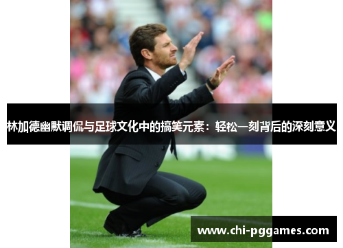 林加德幽默调侃与足球文化中的搞笑元素：轻松一刻背后的深刻意义