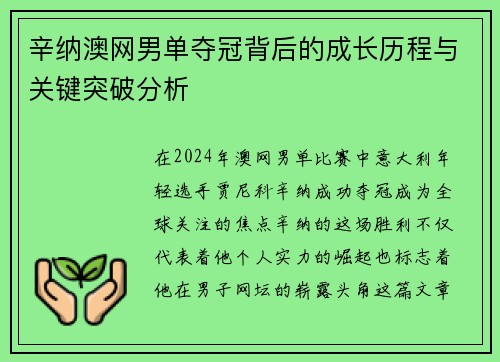 辛纳澳网男单夺冠背后的成长历程与关键突破分析